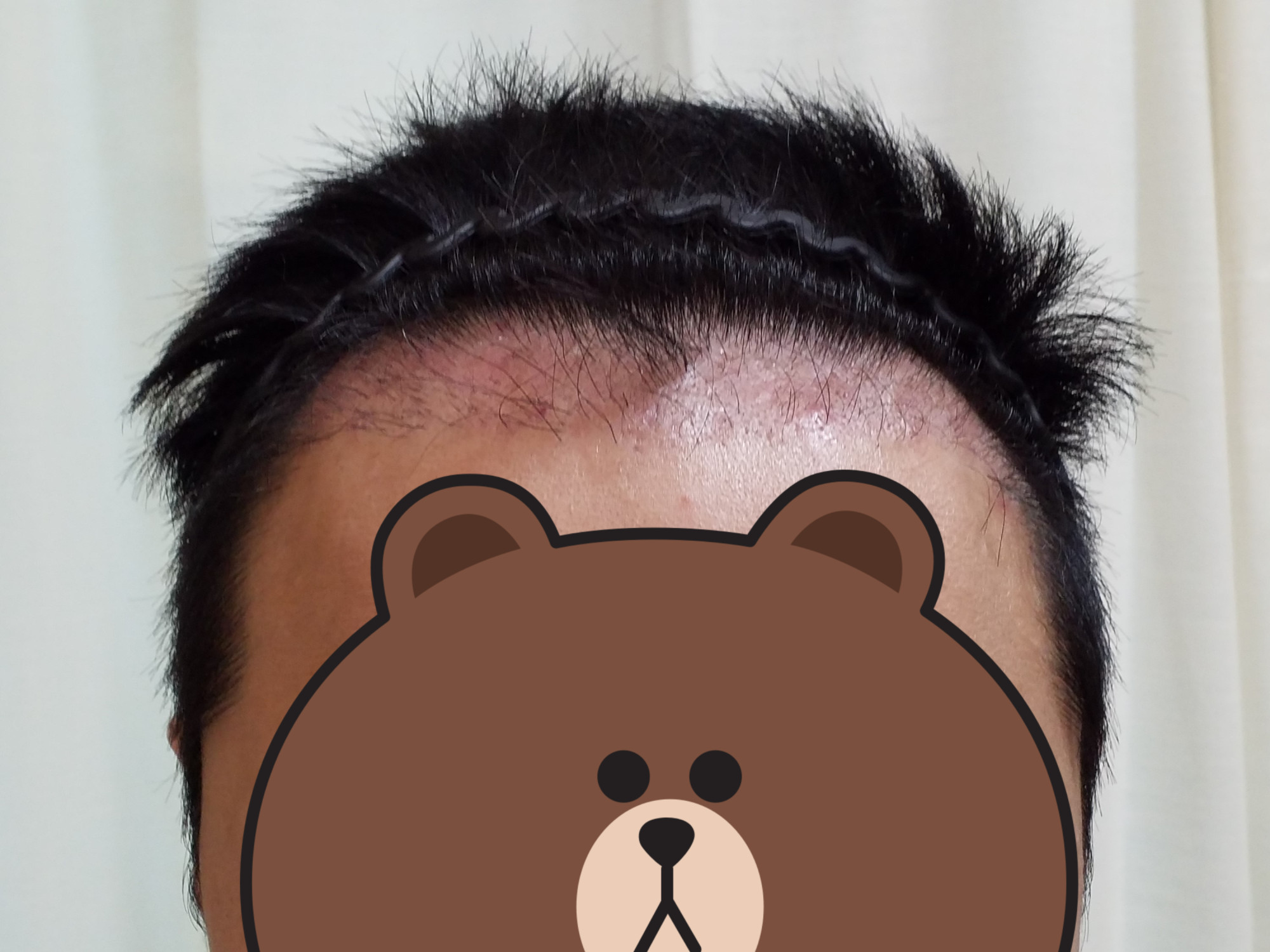 새 라인