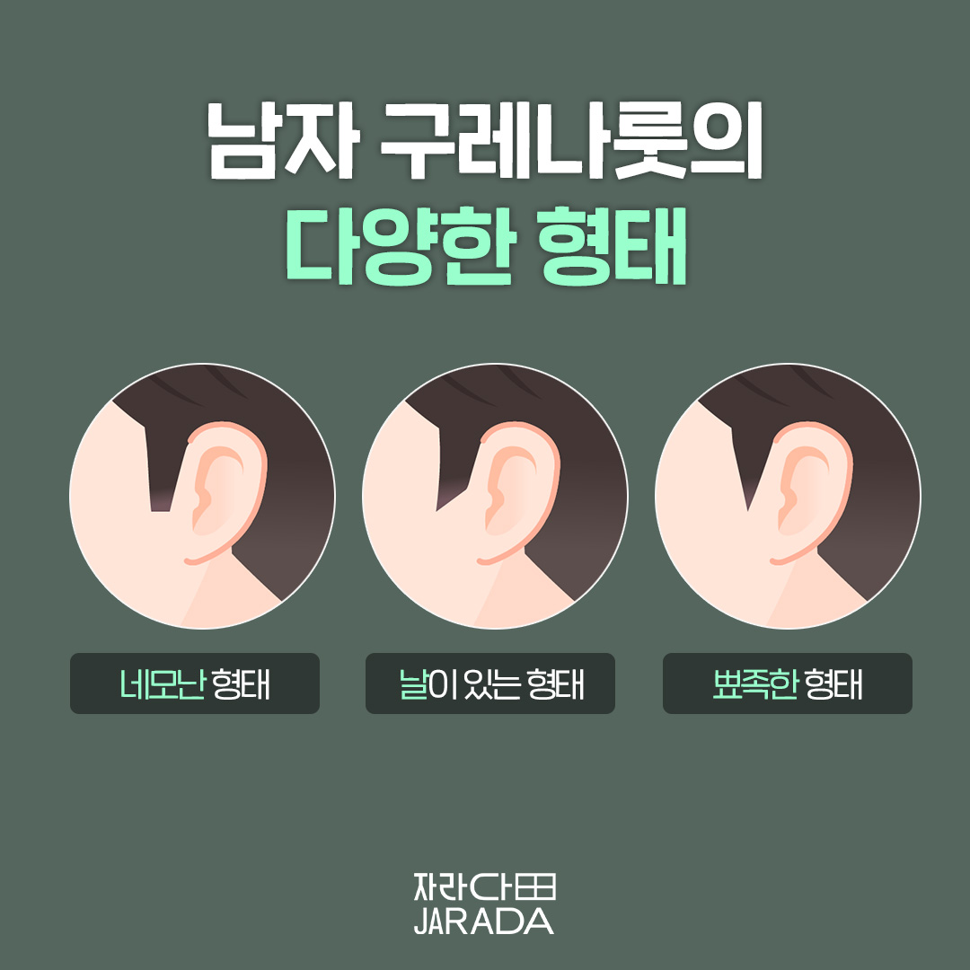 구레나룻의 다양한 형태