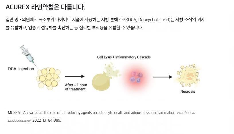 Body Contouring with Line Pharmacopuncture and K-Onda Micro Lifting