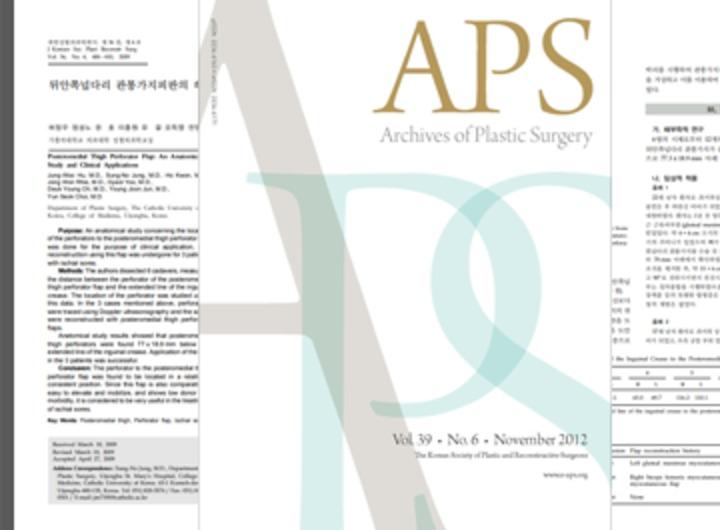 Archives of Plastic Surgery, Excellent Paper Academic Award