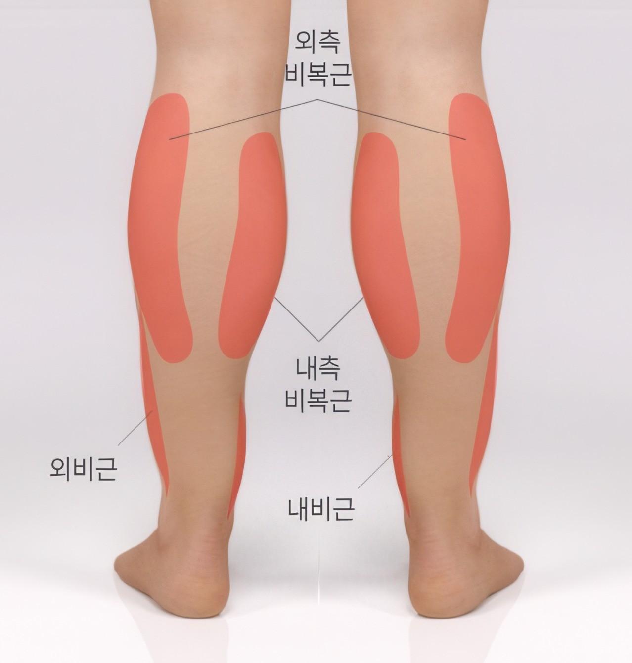 복합 발달형