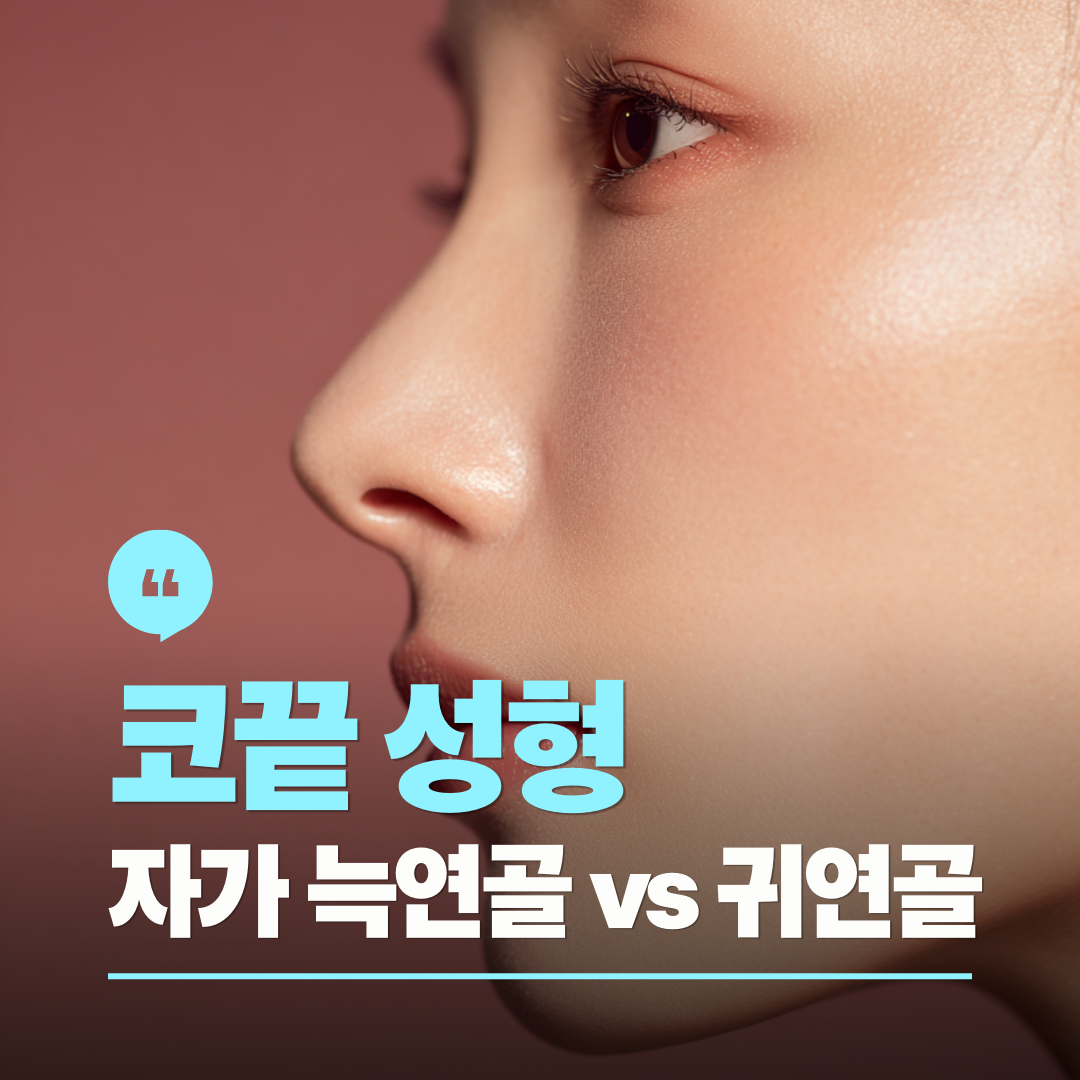 강남 신사역 성형외과 코끝 성형 재료, 자가 늑연골과 귀연골 장단점