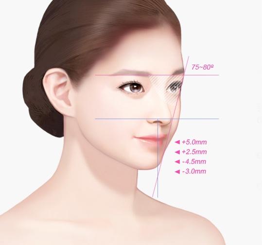 이상적인 측면 얼굴 황금비율