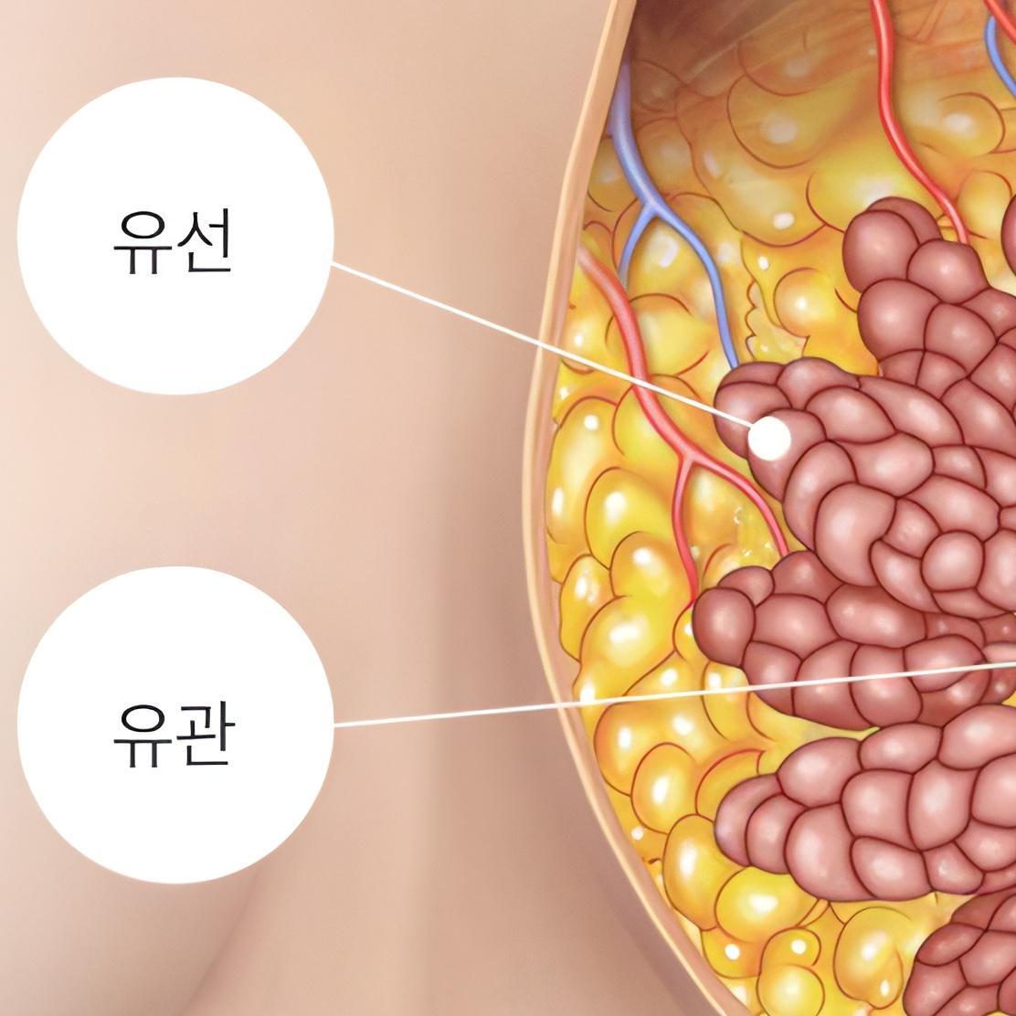 감각손실, 유관손상 최소화