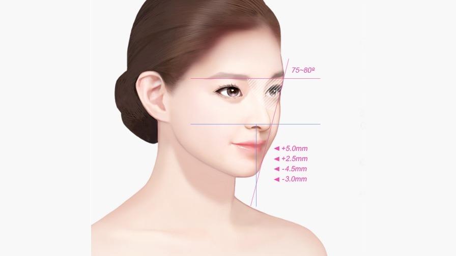 이상적인 측면 얼굴 황금비율