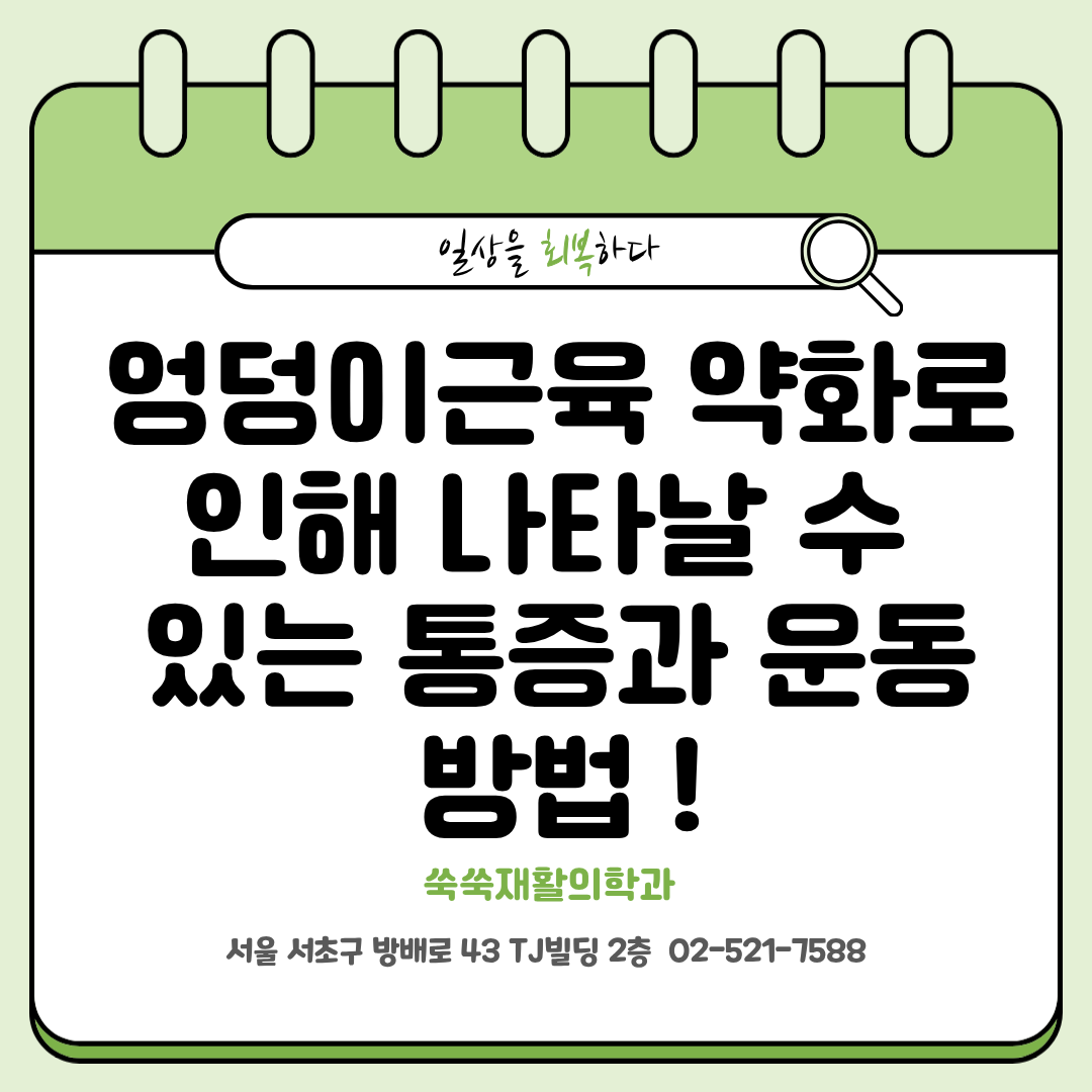 방배 재활의학과 허리통증, 엉덩이근육 약화로 생기는 통증과 운동