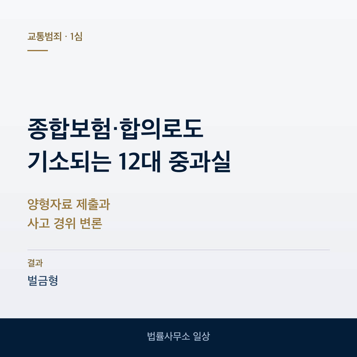 12대 중과실 교통사고처리특례법위반(치상) 벌금형