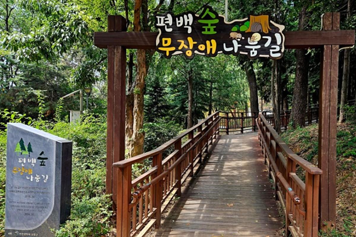 늘솔길공원 편백숲 나눔길