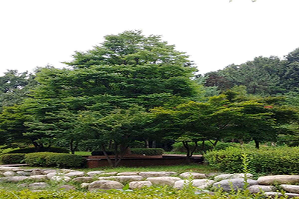 논현중앙 근린공원 연못