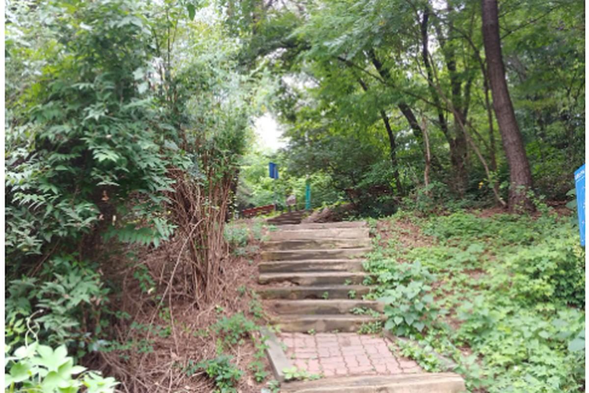 논현중앙 근린공원 산책로
